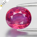 GLC CERTIFIED 0.99ct Oval Natural Pink Sapphire - Unheated Mozambique Gemstone