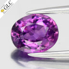 GLC CERTIFIED 1.20ct Oval Natural Purplish Pink Sapphire - Unheated Mozambique