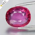 GLC CERTIFIED 0.96ct VVS Oval Natural Pink Sapphire - Unheated Mozambique Gem