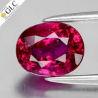 GLC CERTIFIED 1.03ct Oval Natural Purplish Red Ruby - Unheated Mozambique Gem