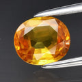 1.05ct Yellow Sapphire | Oval