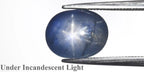 5.76ct Oval Cabochon Natural Blue 6 Ray Star Sapphire - Unheated, GCI Certified - photo 3