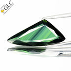3.13ct VVS Fancy Cut Natural Green Sapphire - Heated, GLC Certified - photo 1