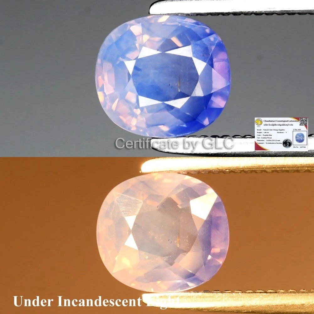 GLC Report 1.00ct Cushion Color Change Sapphire - Unheated, Mozambique Gem