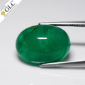 23.62ct Oval Cabochon Natural Green Emerald - Zambia, GLC Certified - photo 1