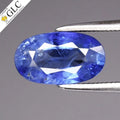 GLC CERTIFIED 1.74ct Oval Natural Blue Sapphire - Heated, Ceylon Gemstone
