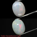 6.91ct 16.8x13.2mm Oval Cab Natural Play-of-Color Crystal Opal Gemstone Ethiopia