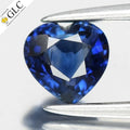 GLC CERTIFIED 0.65ct VS Heart Natural Blue Sapphire - Unheated, Africa Gem