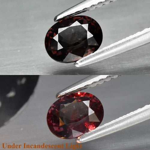 CERTIFICATE Incl.* 0.90ct oval red garnet with black inclusions, shown under incandescent light against a gray background.