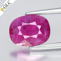 GLC CERTIFIED 1.95ct Cushion Natural Purplish Red Ruby - Heated, Vietnam Gem