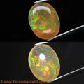 4.85ct 15.8x12.3mm Oval Cab Natural Play-of-Color Crystal Opal Gemstone Ethiopia