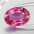 GLC CERTIFIED 0.82ct Oval Natural Pink Sapphire - Unheated Mozambique Gemstone