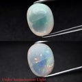 4.02ct 12.5x9.7mm Oval Cab Natural Play-of-Color Crystal Opal Gemstone Ethiopia