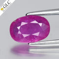 GLC CERTIFIED 1.13ct Oval Natural Purplish Red Ruby - Heated, Vietnam Gem
