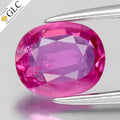 GLC CERTIFIED 1.16ct Oval Natural Pink Sapphire - Unheated Mozambique Gemstone