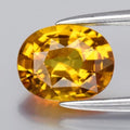 1.13ct 7x5.5mm VVS Oval Yellow Sapphire - Sparkle, Thailand Gemstone