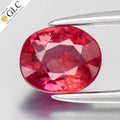 GLC CERTIFIED 0.89ct Oval Natural Red Ruby - Unheated, Mozambique Gemstone