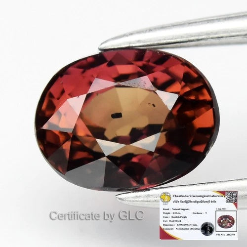 GLC CERTIFIED* 0.93ct VS Oval Natural Reddish Purple Sapphire Unheated Africa
