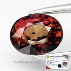 GLC CERTIFIED* 0.93ct VS Oval Natural Reddish Purple Sapphire Unheated Africa