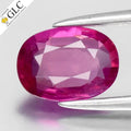 GLC CERTIFIED 1.04ct Oval Natural Pink Sapphire - Unheated Mozambique Gemstone