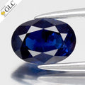 GLC CERTIFIED 1.00ct Oval Natural Blue Sapphire - Heated, Africa Gemstone