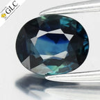 GLC CERTIFIED 0.70ct VVS Natural Greenish Blue Sapphire - Unheated, Africa Gem