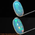 5.28ct 17.2x9.5mm Oval Cab Natural Play-of-Color Crystal Opal Gemstone Ethiopia
