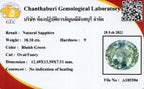 Laboratory report for CERTIFICATE Incl.*Big! 10.10ct Oval Natural Bluish Green Sapphire Unheated Tanga