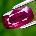 1.63ct 8.5x4.8mm Cushion Natural Unheated Pinkish Red Ruby Gemstone, Mozambique