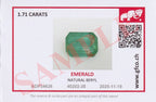 GFCO GEM LAB® Swiss Gem Certificate - Professional Gemological Report Card — view 3