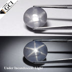 GCI CERTIFIED Unheated 21.61ct Natural Sharp 6 Ray Star Sapphire Sri-Lanka