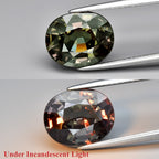 CERTIFICATE Incl.*Big! 5.01ct VVS Oval Natural Color Change Garnet, Amazing