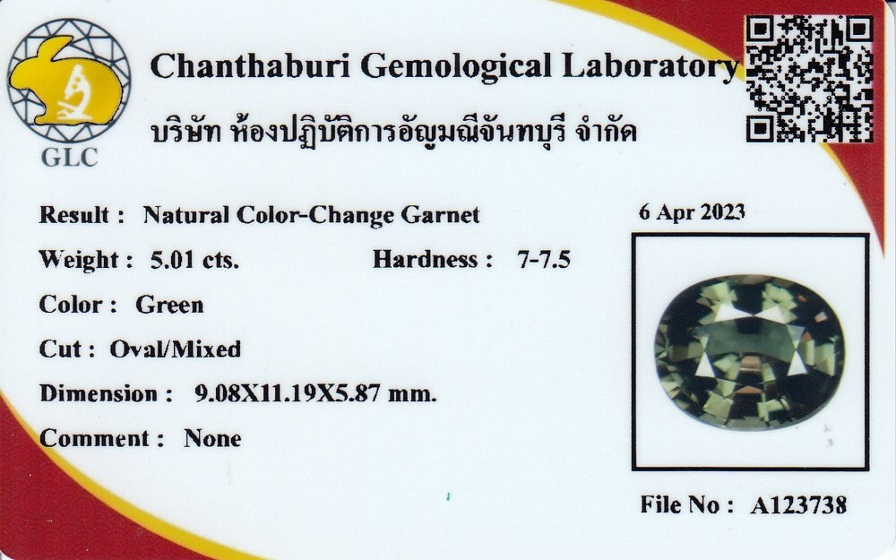 Laboratory report for CERTIFICATE Incl.*Big! 5.01ct VVS Oval Natural Color Change Garnet, Amazing