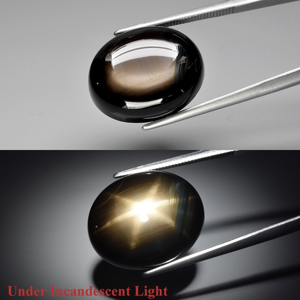 CERTIFICATE Incl.* 25.02ct Oval Cab Unheated Black 6 Ray Star Sapphire, Gemstone
