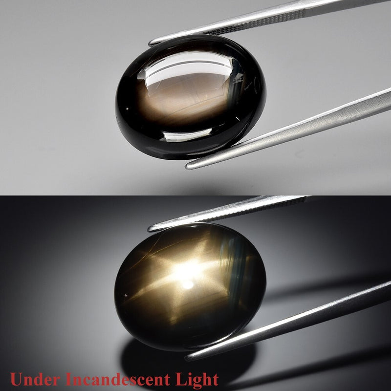 CERTIFICATE Incl.* 25.02ct Oval Cab Unheated Black 6 Ray Star Sapphire, Gemstone