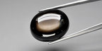 Black oval cab 6-ray star sapphire gemstone with smooth surface, held in silver tongs on a light gray background.