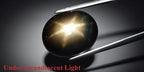Oval cab 25.02ct black 6-ray star sapphire gemstone with luminous blue highlights, held in silver tweezers.
