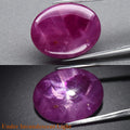 CERTIFICATE Incl.* 19.77ct Oval Cabochon Purplish Red 6 Ray Star Ruby Gemstone
