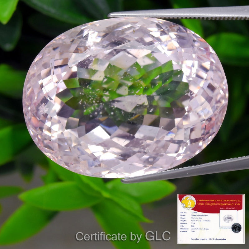 GLC CERTIFIED* Rare 65.92ct Oval Natural Pink Morganite - Huge, Unheated Gem