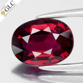 GLC CERTIFIED 1.16ct VS Oval Natural Red Ruby - Unheated, Mozambique Gemstone
