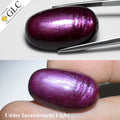 GLC CERTIFIED 66.94ct Oval Natural 6 Ray Star Ruby - Unheated, Mozambique Gem