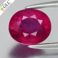 GLC CERTIFIED 1.11ct VS Oval Natural Purple Red Ruby - Unheated Mozambique Gem — view 1