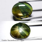 5.11ct Oval Cabochon Natural Blue Green 12 Ray Star Sapphire - Unheated, Gem — view 1