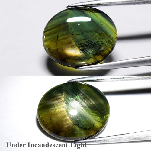 5.11ct Oval Cabochon Natural Blue Green 12 Ray Star Sapphire - Unheated, Gem — view 1