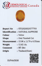 Laboratory report for Certified GIL Certified Big!12.62ct IF Oval Natural Yellow Sapphire - Thailand Gemstone