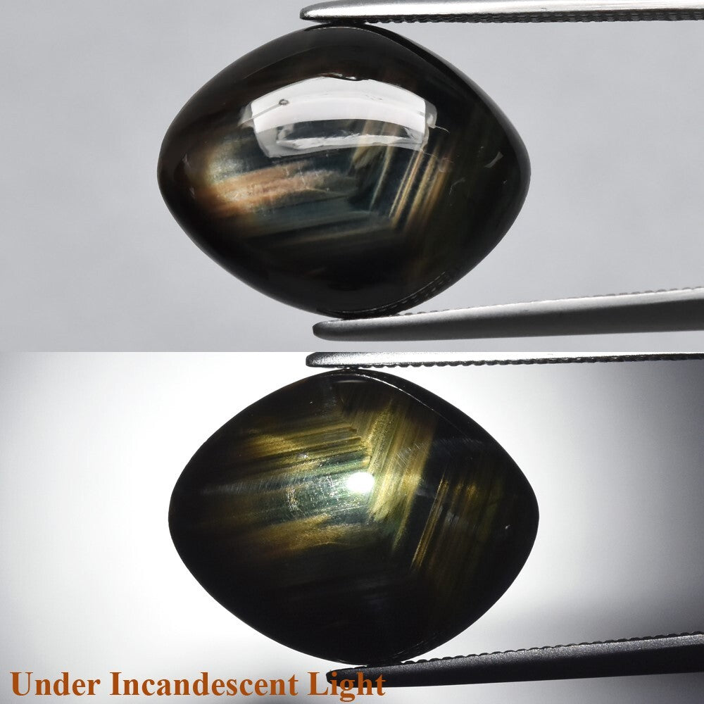 9.45ct Lozenge Cabochon Unheated Black-Green-Bl<wbr/>ue 6 Ray Star Sapphire, Gemstone