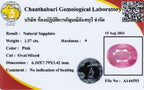 Laboratory report for CERTIFICATE Incl.* 1.57ct Oval Natural Unheated Pink Sapphire Gemstone, Africa