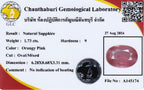 Laboratory report for CERTIFICATE Incl.* 1.73ct Oval Natural Unheated Orangy Pink Sapphire, Gemstone
