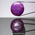 GLC Jumbo! 124.62ct Oval Purple 6 Ray Star Sapphire - Unheated, Myanmar Gem