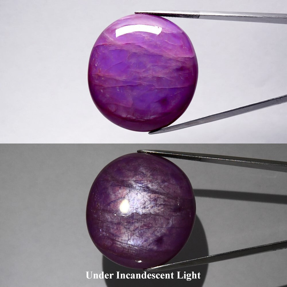 GLC Jumbo! 124.62ct Oval Purple 6 Ray Star Sapphire - Unheated, Myanmar Gem